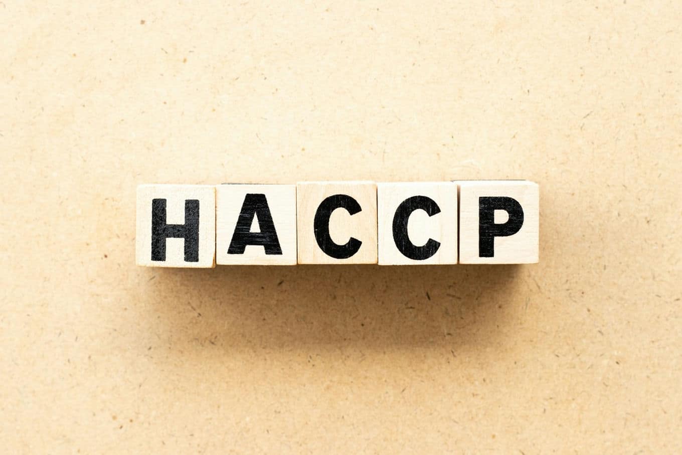 napis haccp na klockach